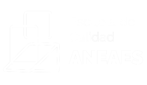 _______________ Aula Virtual ________________